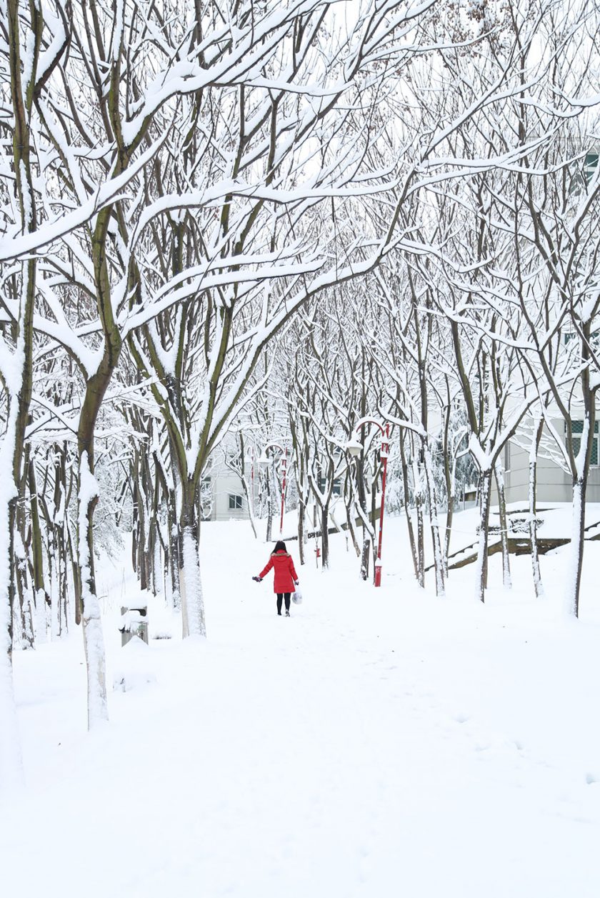 南方大雪